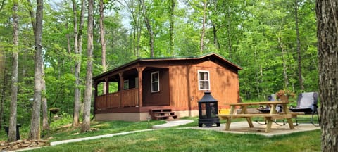 "HONEYMOON CABIN" - Quite wooded setting with fire pit, patio, and picnic table.