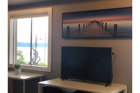 Large 50 inch smart TV