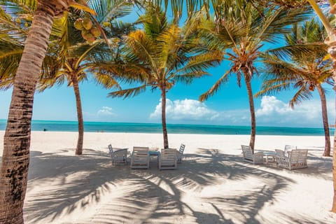 On the beach, white sand, beach towels, beach bar