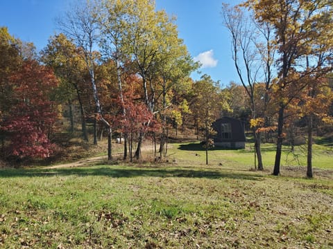 View of Dalsoren and new prairie project!
