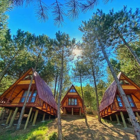 Comfort Tree House, Balcony, Mountain View | Premium bedding, down comforters, memory foam beds, free minibar