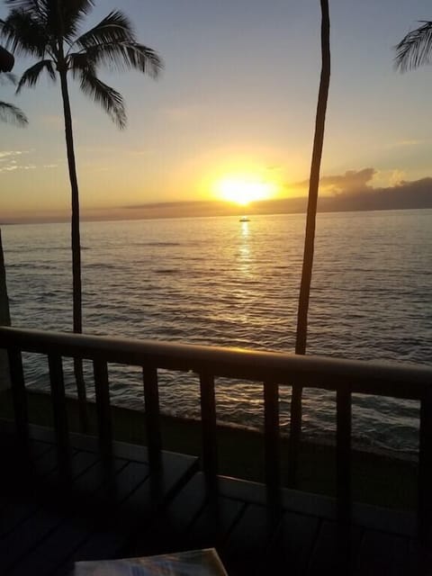    Someone always blows a conch when the sun hits the water.  