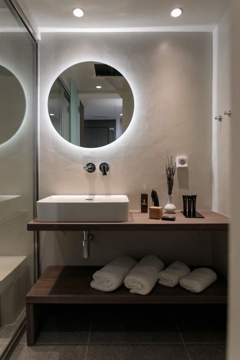 Shower, hydromassage showerhead, designer toiletries, hair dryer