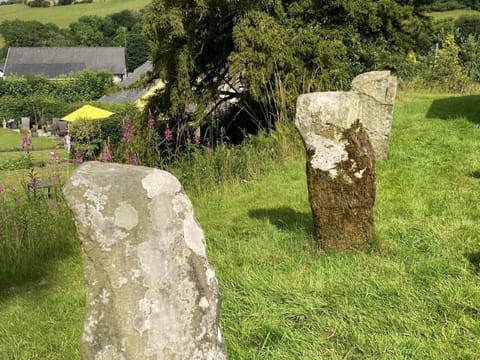 Cabin | Property grounds