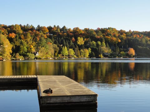 Lake