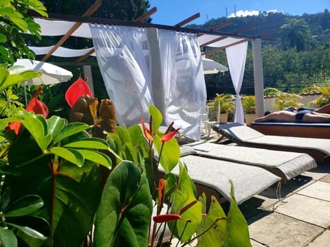 Outdoor pool, sun loungers