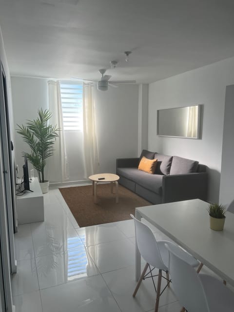 Basic Apartment | Living area | TV