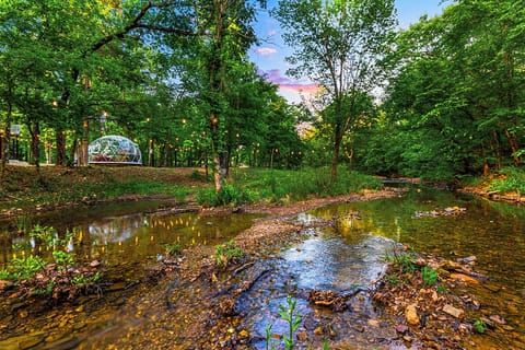 Seasonal Creek (depending on rainfall, the creek may be dry)