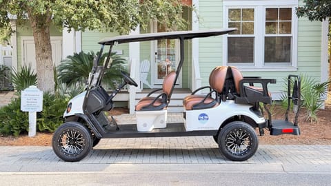 Included 6 seater street legal golf cart