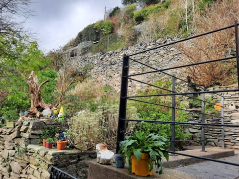 House | Property grounds