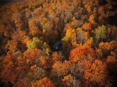 Magical foliage season