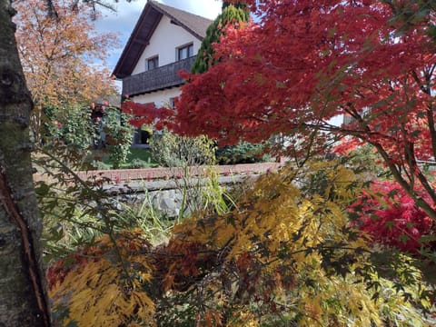 Garden view in automn 