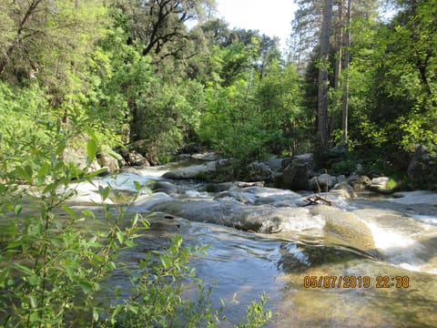 Lewis Creek in backyard