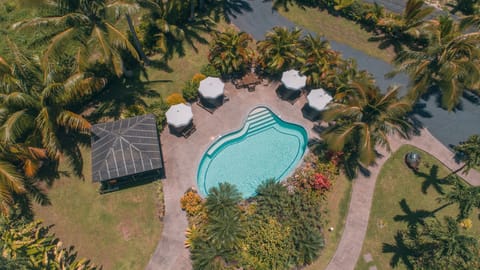 The pool, sun loungers and BBQ gazebo from the air.