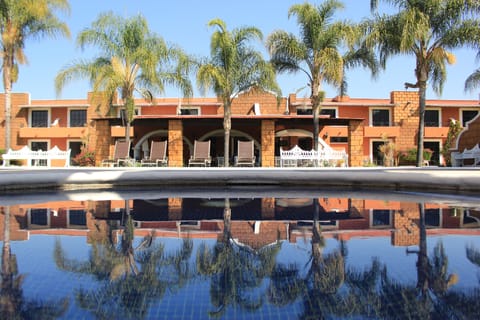 Outdoor pool, sun loungers