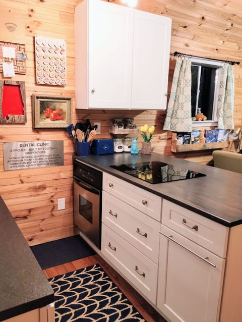 kitchen induction cooktop ( w/ magnets...fast & safe! ), 24" oven & eating bar