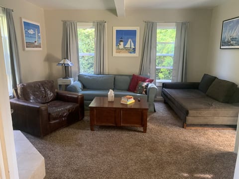 Plenty of comfy couches for relaxing by the wood stove with board games or tv.