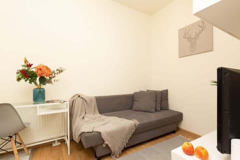 A cozy living room with a gray sofa, desk and bright decor.
