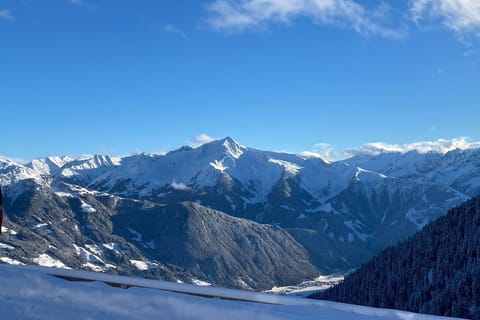 View from Holiday Home [winter]