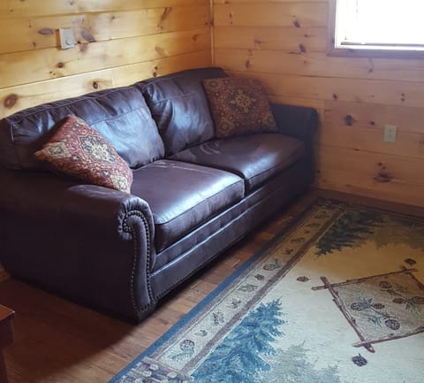 Sofa sleeper in living room
