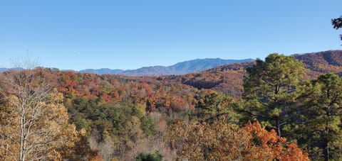 View of the mountain from the back porch and house.