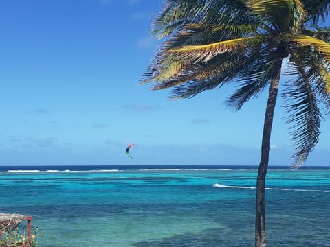 Beachfront