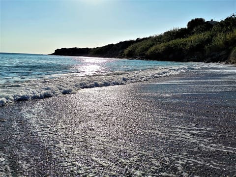 Apartment | Beach