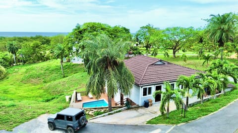 Tropical Villa (1)