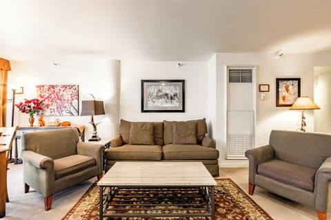 Living Area w/ Sleeper Sofa
