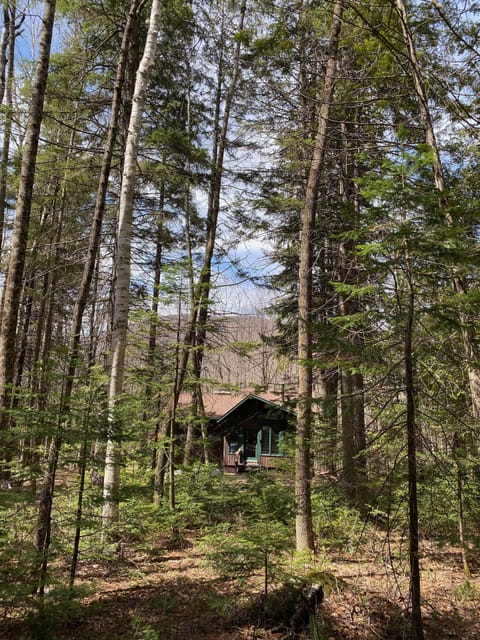 We're sitting back in the woods but a few minutes from everything.