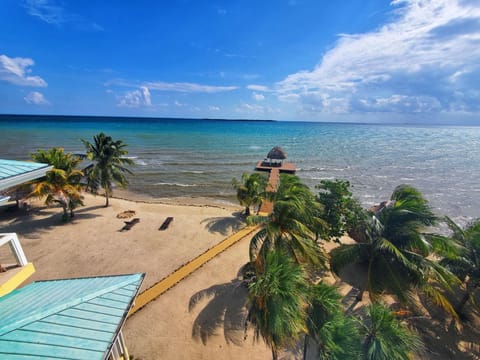 Private beach, sun loungers, beach towels