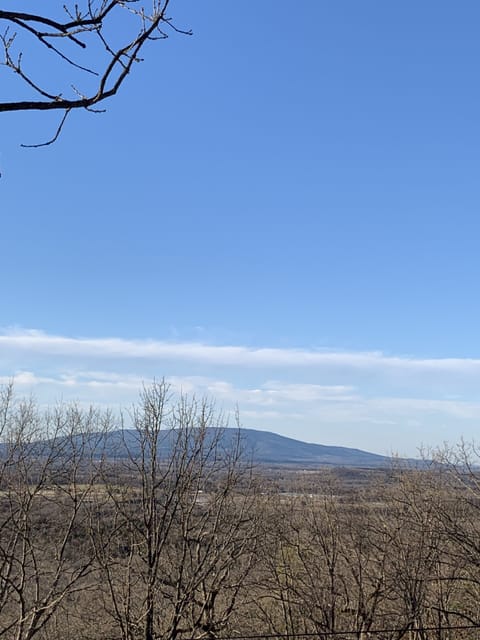 Family Cabin with spectacular views! Cabin in Arkansas