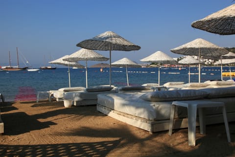 Private beach, sun loungers, beach umbrellas, beach bar