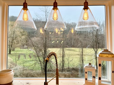 Kitchen picture window