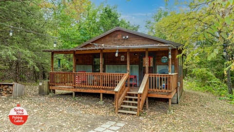 Dog-friendly, Dogwood Cabin -- beds for 10 adults and 1 infant