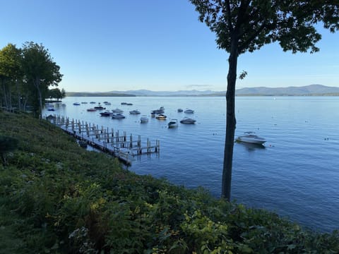 View of the lake