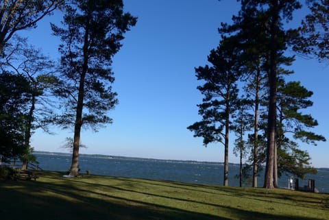 View from house