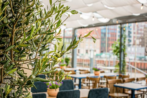 Local and international cuisine, alfresco dining 