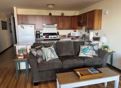 Comfy couch/sofa bed and your well-equipped kitchen. - Comfy couch/sofa bed with a quality memory foam mattress.