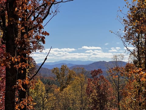 Mountain View from the Wraparound Back Porch