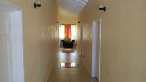 Standard Single Room | Terrace/patio