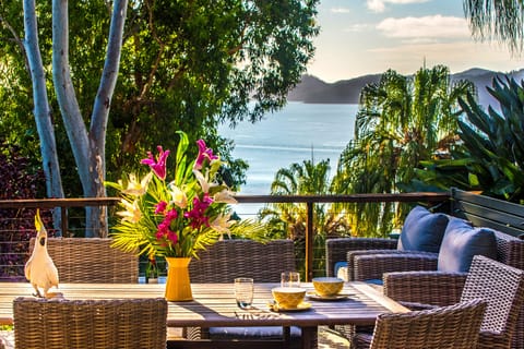 Outdoor Patio