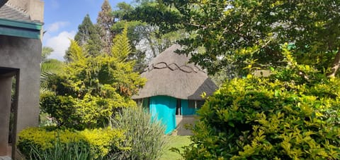 House | Pool