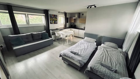 Economy Apartment, 1 Bedroom, City View | 1 bedroom, iron/ironing board, free WiFi, bed sheets