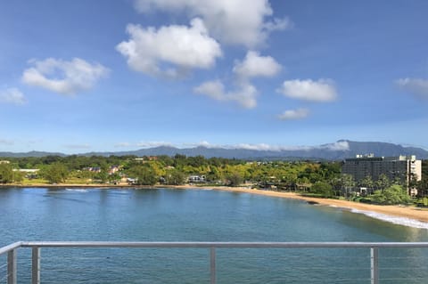 Welcome to the beautiful views of Kalapaki Bay