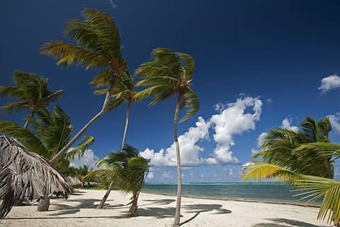 Beach (on-site0