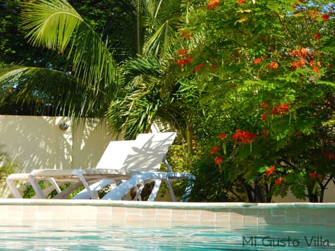 Tropical garden Rentals in Aruba 