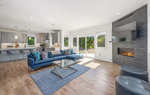 Family Room - Fireplace