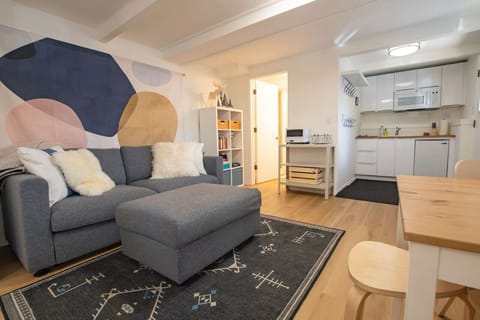 Living Room has sofa-bed