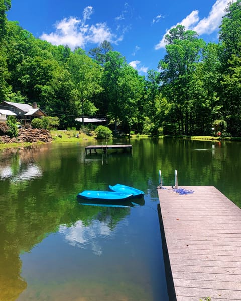 Neighborhood pond